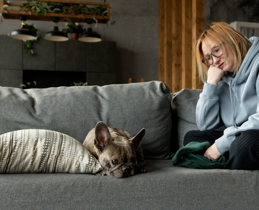 Las 5 mejores formas de reducir la ansiedad por separación en perros