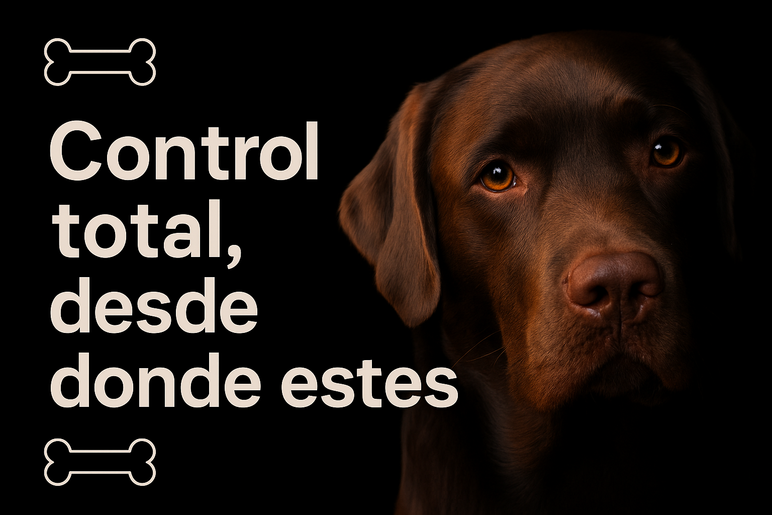 Cargar video: 